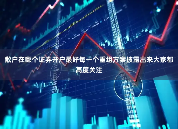 散户在哪个证券开户最好每一个重组方案披露出来大家都高度关注