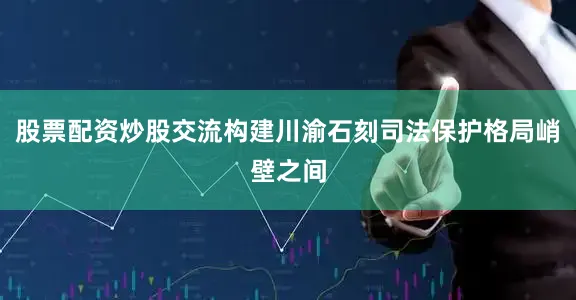 股票配资炒股交流构建川渝石刻司法保护格局峭壁之间