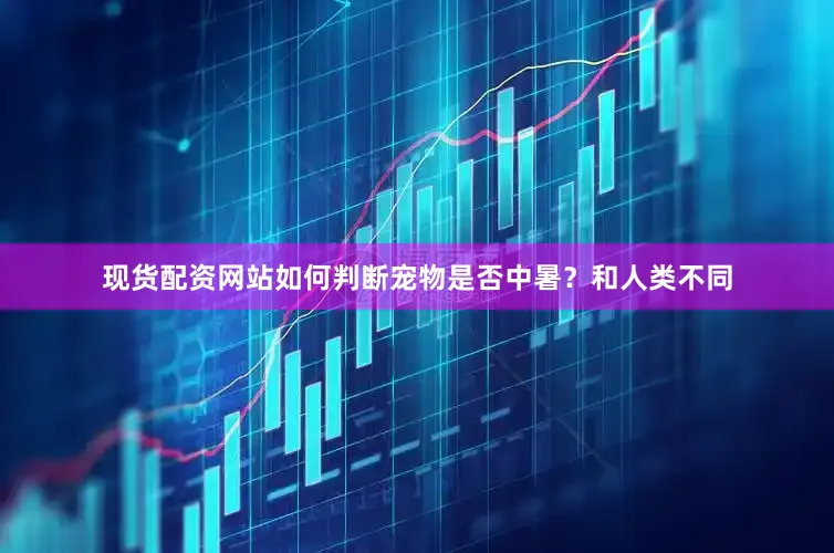 现货配资网站如何判断宠物是否中暑？和人类不同