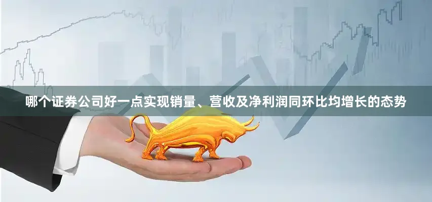 哪个证券公司好一点实现销量、营收及净利润同环比均增长的态势