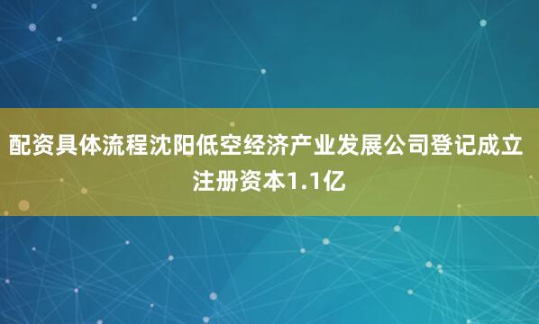 配资具体流程沈阳低空经济产业发展公司登记成立 注册资本1.1亿